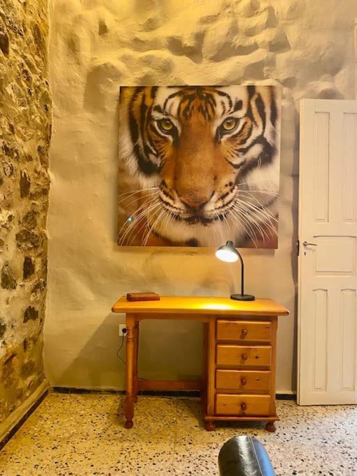 Vila Casa Aya Teror Exteriér fotografie